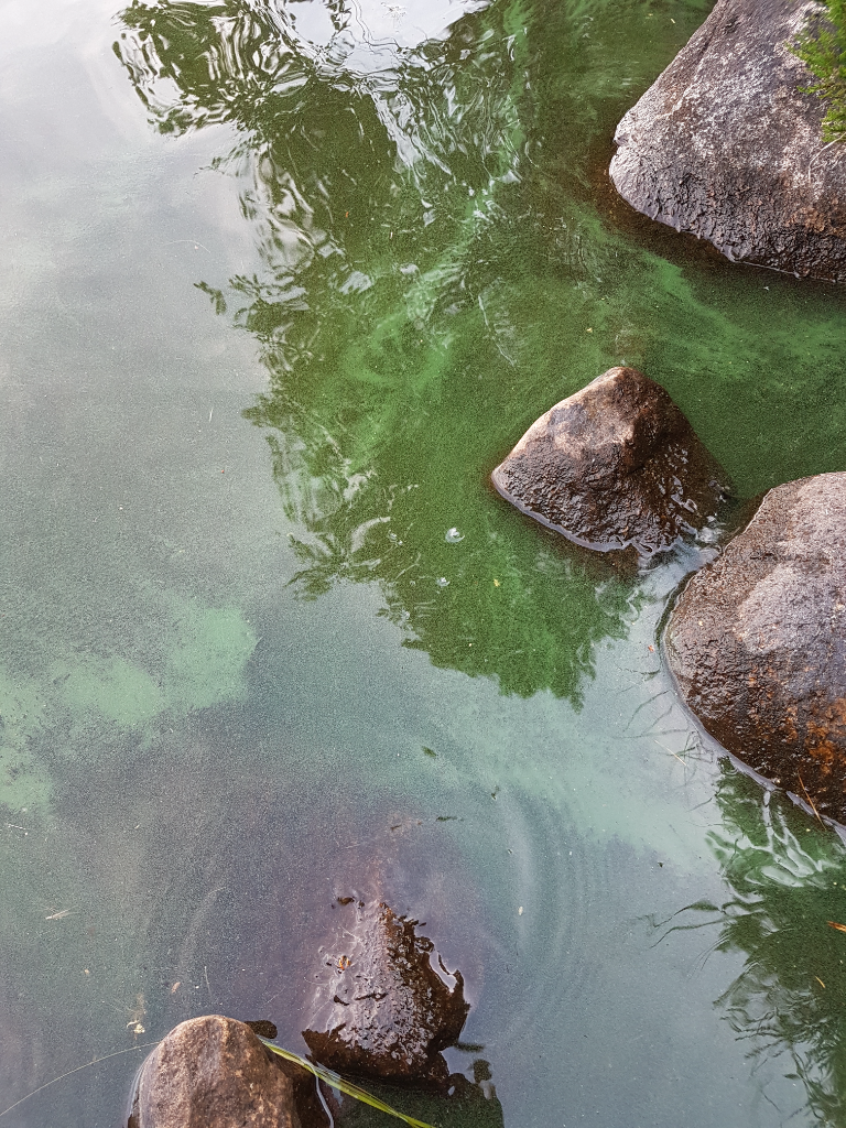 Uurajärven - Iijärven alue (59.412)-Säätila-ObsIMG-202207211754-62d969a47fcc2.png