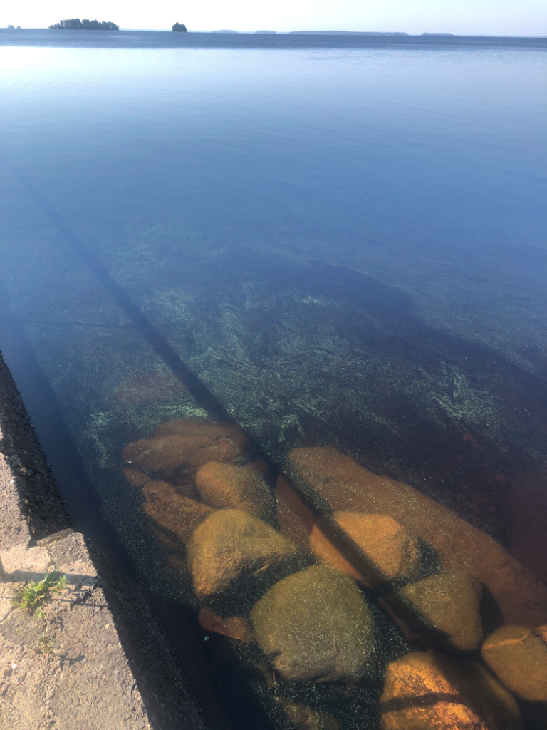 Pyhäselkä (Saimaa) (04.321.1.001)-Rotarien sinileväseuranta (Paksuniemi)-ObsALG-202206270815-62b95922b94b1.png