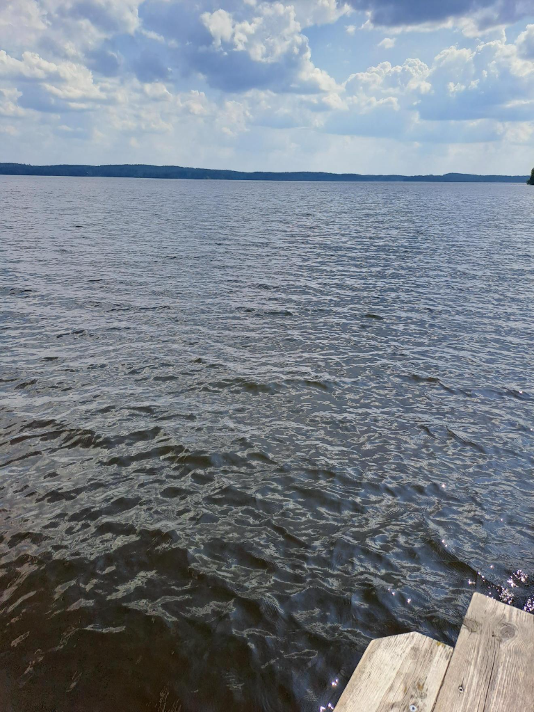 Pyhäjärvi (35.211.1.001)-Valtakunnallinen sinileväseuranta (Halkoniemi)-ObsIMG-202306211652-649300b0d1ea0.png