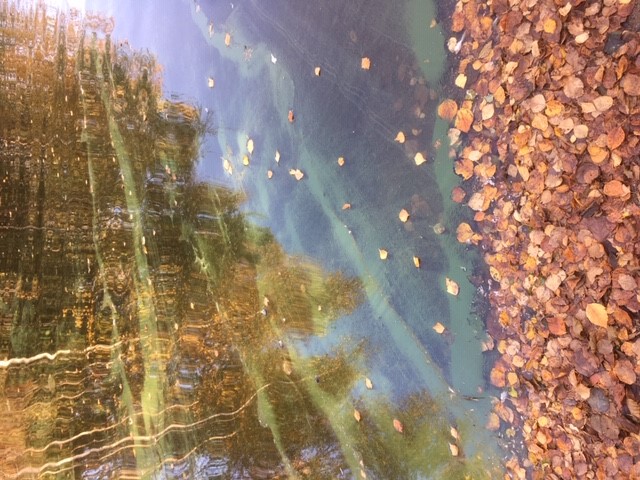 Orivesi (Saimaa) (04.311.1.001)-Valtakunnallinen sinileväseuranta (Heposelkä, Huhtiniemi)-ObsIMG-202009291530-93.jpg