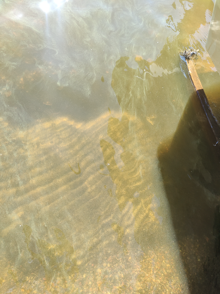 Pyhäjärven - Kuivajärven alue (35.931)-Havaintopaikka 1-ObsIMG-202208141508-62f8e626b8b91.png