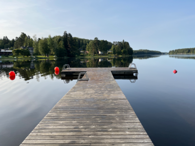 Pitkäjärvi (04.152.1.002)-Valtakunnallinen sinileväseuranta (Pitkäjärven uimaranta)-ObsIMG-202408200819-66c427d76dc49.png