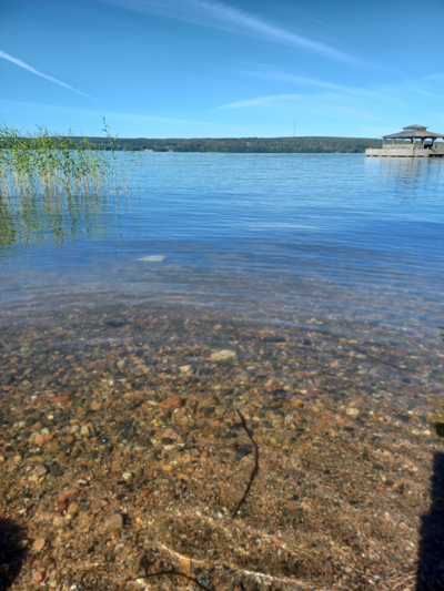 Vesijärvi (14.241.1.001)-Valtakunnallinen sinileväseuranta (Mukkula)-ObsALG-202407100929-668e2aa82dffa.png