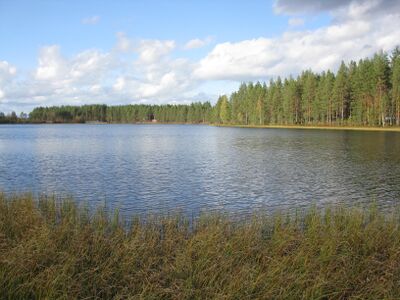 Kangasjärvi1.JPG