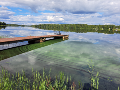 Purmojärvi (46.041.1.001)-Valtakunnallinen sinileväseuranta-ObsIMG-202408131617-66bb5d2e31250.png