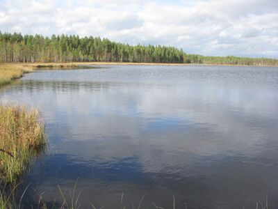 Ylijärvi.JPG