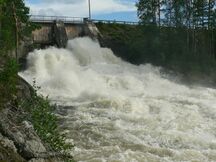 Juojärven vedet vyöryvät Palokin koskiin.