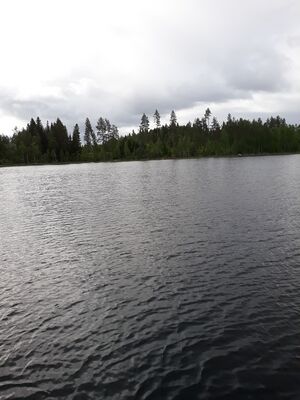 Järvi2.png