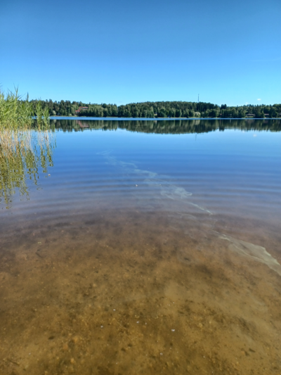 Kymijärvi (14.164.1.001)-Valtakunnallinen sinileväseuranta (Kariston uimaranta)-ObsALG-202407101011-668e347060d24.png