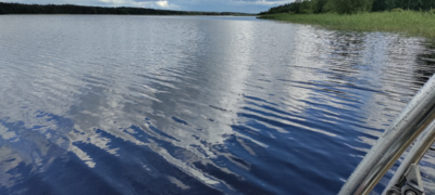 Haukivesi (Saimaa) (04.211.1.001)-Valtakunnallinen sinileväseuranta (Pieni Raudanvesi)-ObsALG-202406121430-666988980477b.png