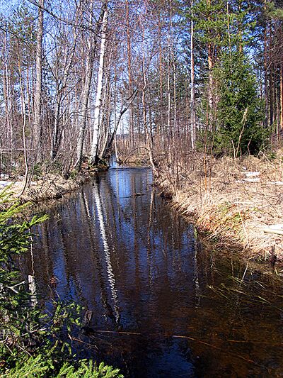 Myllyjoki 23.04.2006 2.jpg