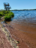 Köyliönjärvi (34.054.1.001)-Valtakunnallinen sinileväseuranta (Yttilän Otta)-ObsALG-202406251505-667ab2c6deb88.png